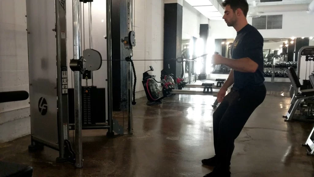 single arm cable row 