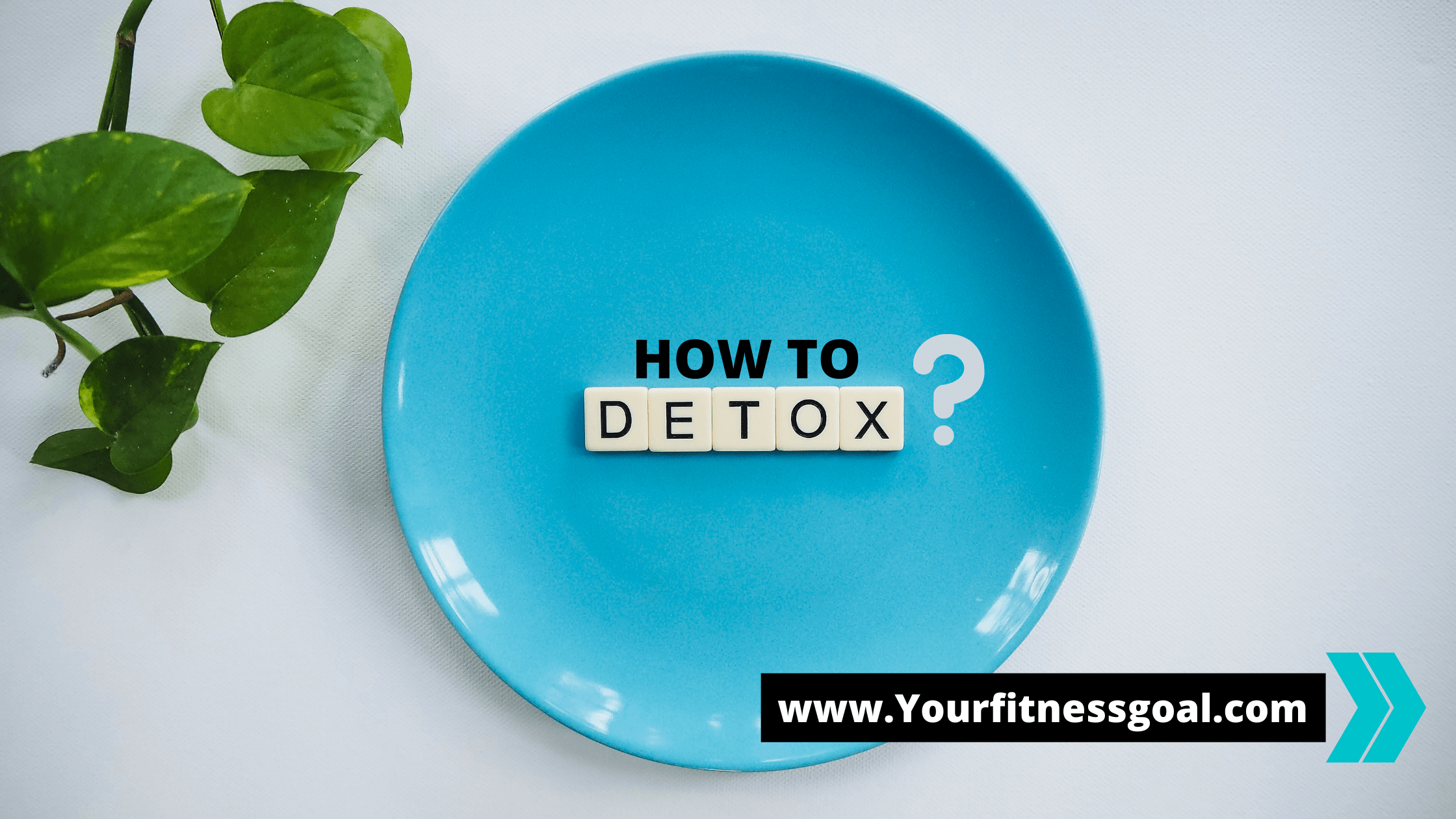 how to detox