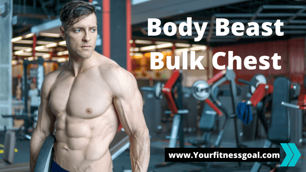 body beast bulk chest