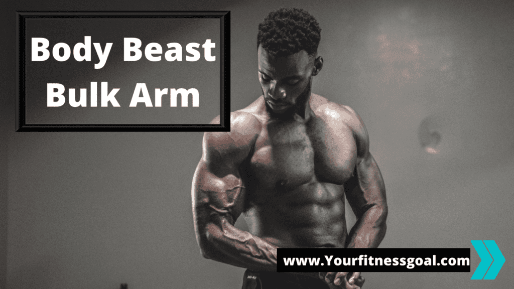 Body beast bulk arms: Best arms workout - Yourfitnessgoal