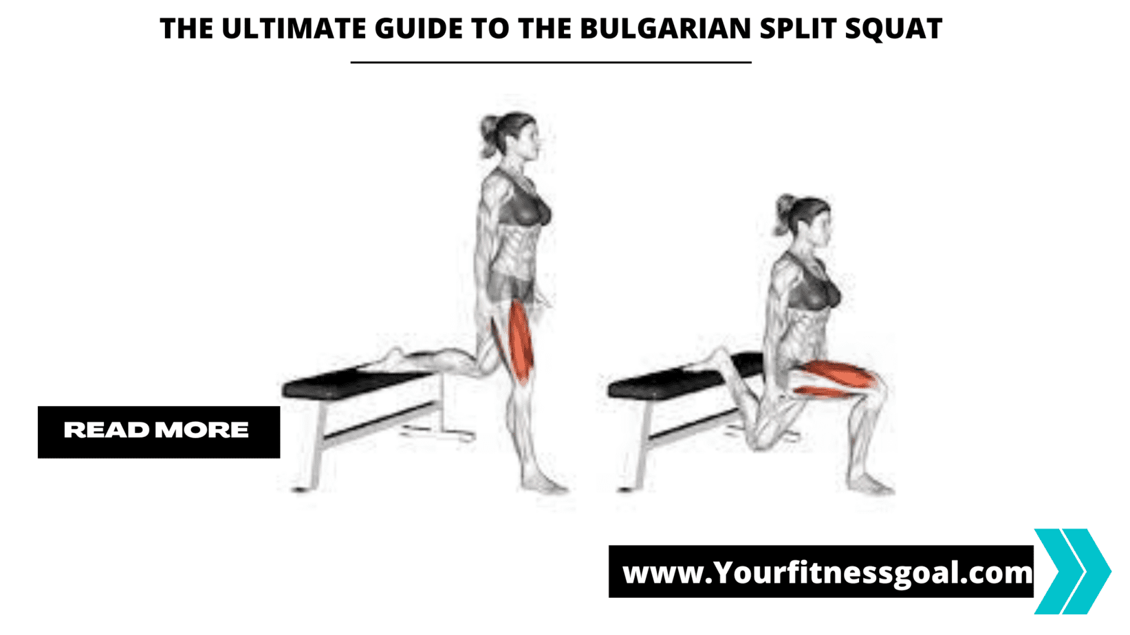 bulgarian split squat